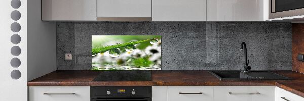 Panel do kuchyne Kvapky na tráve