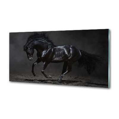 Dekoračný panel sklo Čierny kôň