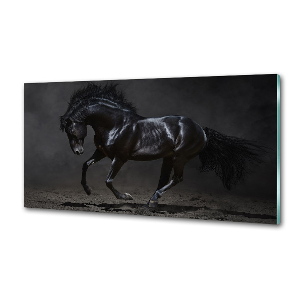 Dekoračný panel sklo Čierny kôň