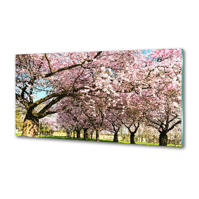 Dekoračný panel sklo Višne