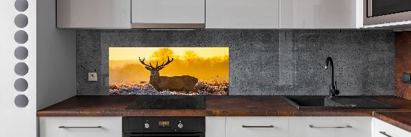 Panel lacobel Jeleň východ slnka