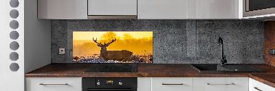 Panel lacobel Jeleň východ slnka