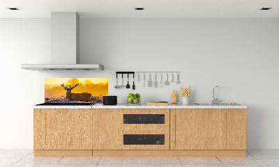 Panel lacobel Jeleň východ slnka