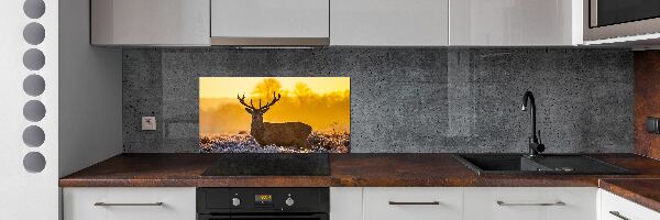 Panel lacobel Jeleň východ slnka