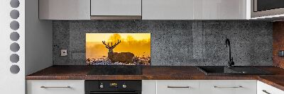 Panel lacobel Jeleň východ slnka