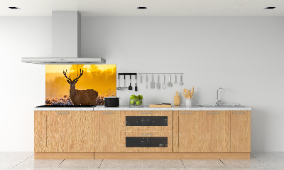 Panel lacobel Jeleň východ slnka