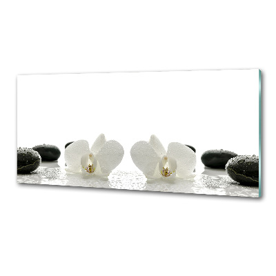 Sklenený panel do kuchynskej linky Orchidea