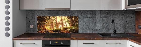Panel do kuchyne Dažďový prales
