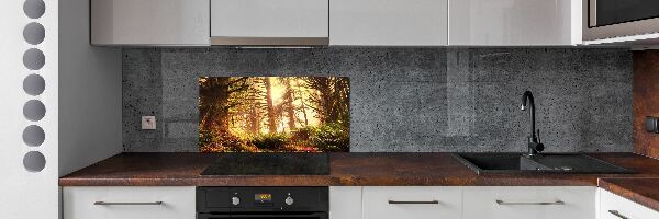Panel do kuchyne Dažďový prales