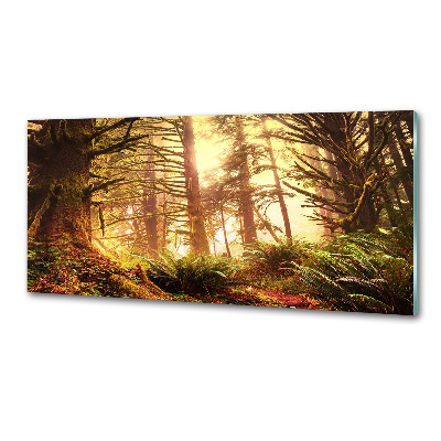 Panel do kuchyne Dažďový prales