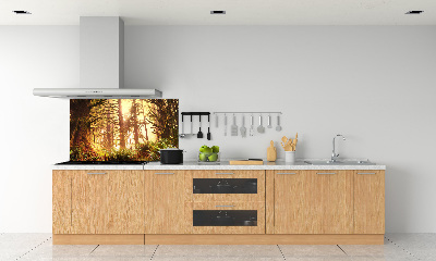 Panel do kuchyne Dažďový prales