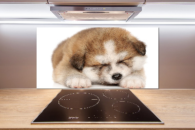 Panel do kuchyne Šteňa Akita