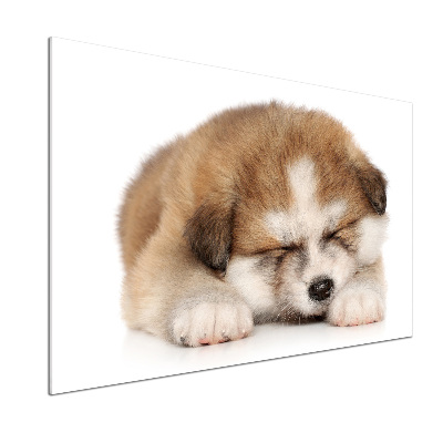 Panel do kuchyne Šteňa Akita