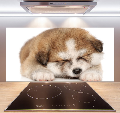 Panel do kuchyne Šteňa Akita