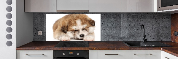 Panel do kuchyne Šteňa Akita