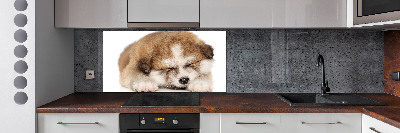 Panel do kuchyne Šteňa Akita