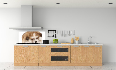 Panel do kuchyne Šteňa Akita