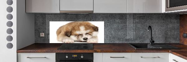 Panel do kuchyne Šteňa Akita