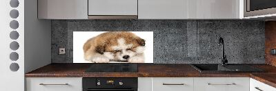 Panel do kuchyne Šteňa Akita
