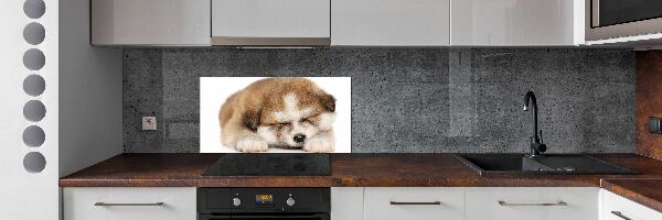 Panel do kuchyne Šteňa Akita