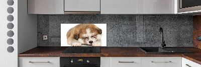 Panel do kuchyne Šteňa Akita