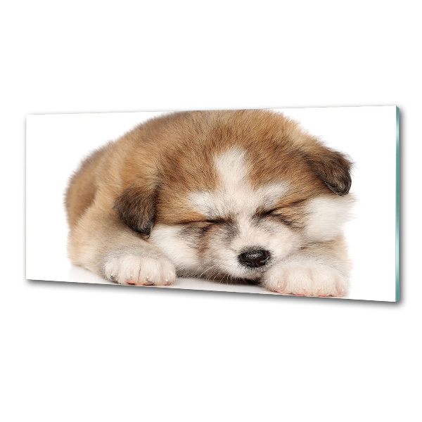 Panel do kuchyne Šteňa Akita