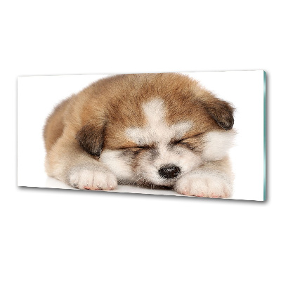 Panel do kuchyne Šteňa Akita