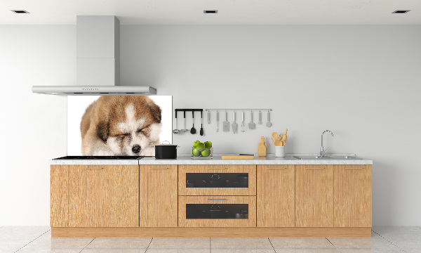 Panel do kuchyne Šteňa Akita