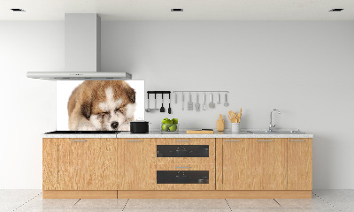 Panel do kuchyne Šteňa Akita