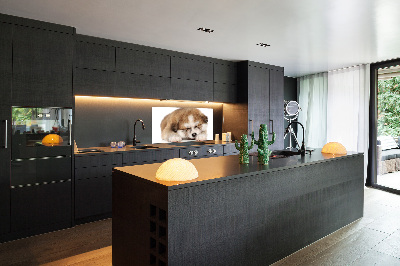 Panel do kuchyne Šteňa Akita