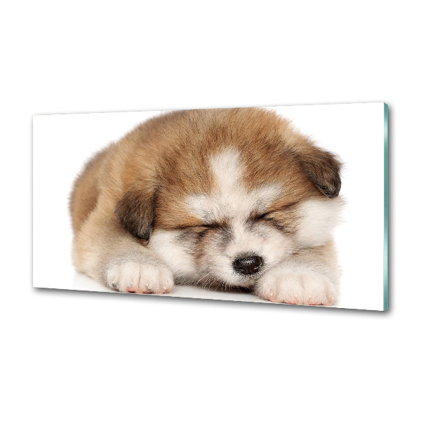 Panel do kuchyne Šteňa Akita