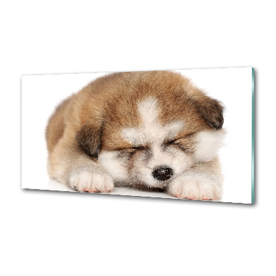 Panel do kuchyne Šteňa Akita
