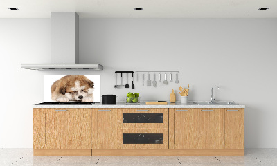 Panel do kuchyne Šteňa Akita