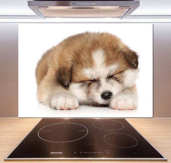 Panel do kuchyne Šteňa Akita
