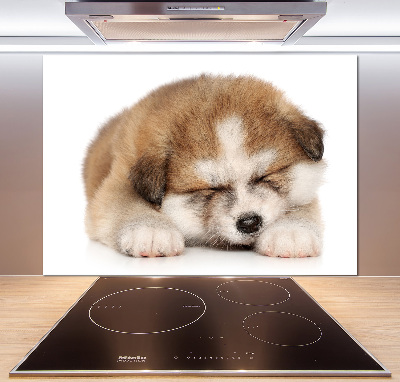Panel do kuchyne Šteňa Akita