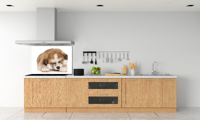 Panel do kuchyne Šteňa Akita