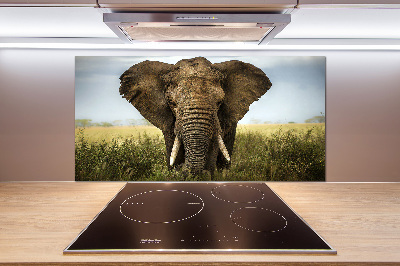 Panel do kuchyne Slon na savane