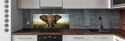 Panel do kuchyne Slon na savane