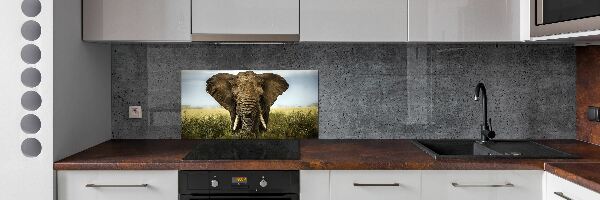 Panel do kuchyne Slon na savane
