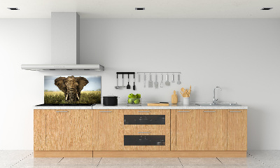 Panel do kuchyne Slon na savane