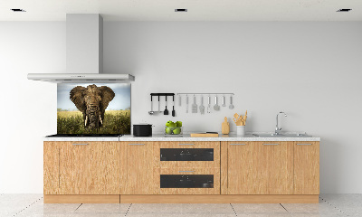 Panel do kuchyne Slon na savane