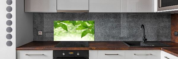 Panel do kuchyne Zelené lístie