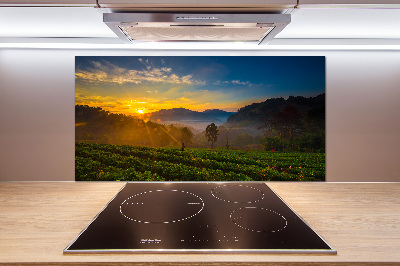 Panel do kuchyne Čajová plantáž