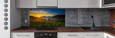 Panel do kuchyne Čajová plantáž