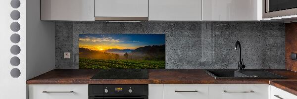 Panel do kuchyne Čajová plantáž