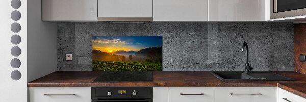 Panel do kuchyne Čajová plantáž