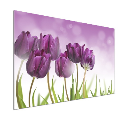 Panel do kuchyne Fialové tulipány