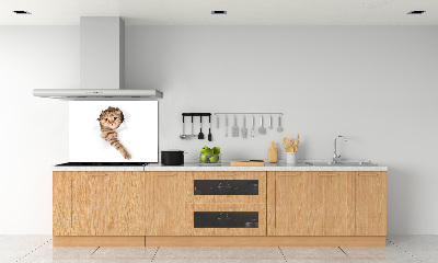 Panel tvrdené sklo do kuchyne Mačka