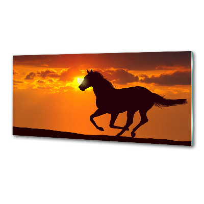 Panel do kuchyne Kôň západ slnka