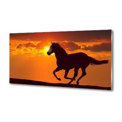 Panel do kuchyne Kôň západ slnka